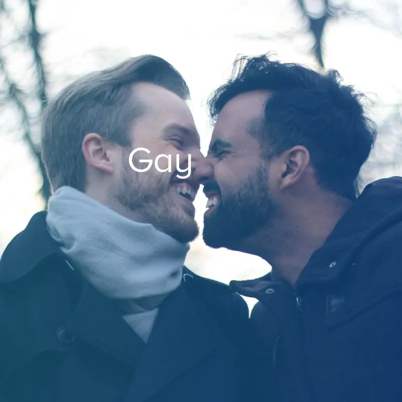 Les salons de tchat vidéo gay en direct les plus populaires sur Internet